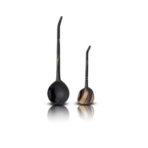 Duo [ Cuillères ] Corne
