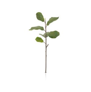 Branche [Figa]