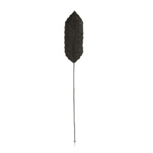 Feuille [palmier] noir
