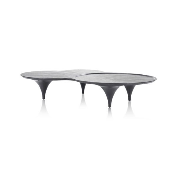 Table basse [Faya]