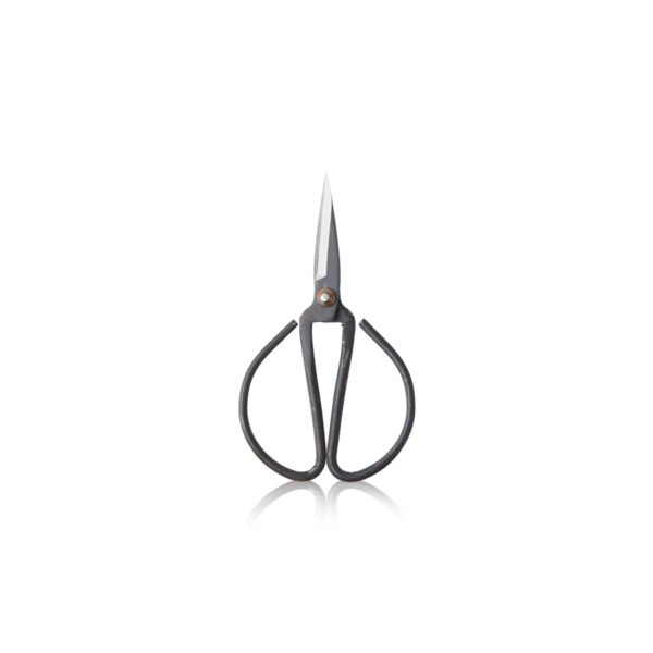 Ciseau [bond]