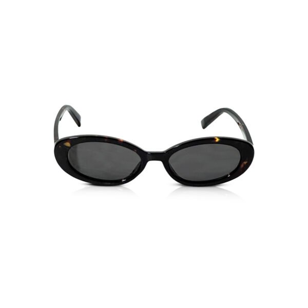 Lunettes [Slow fire] tortoise