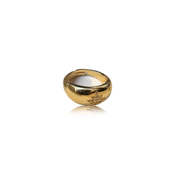 Bague [Petit doigt] Viana Or
