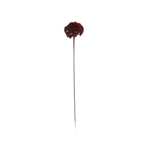 Fleur [Burgundy]