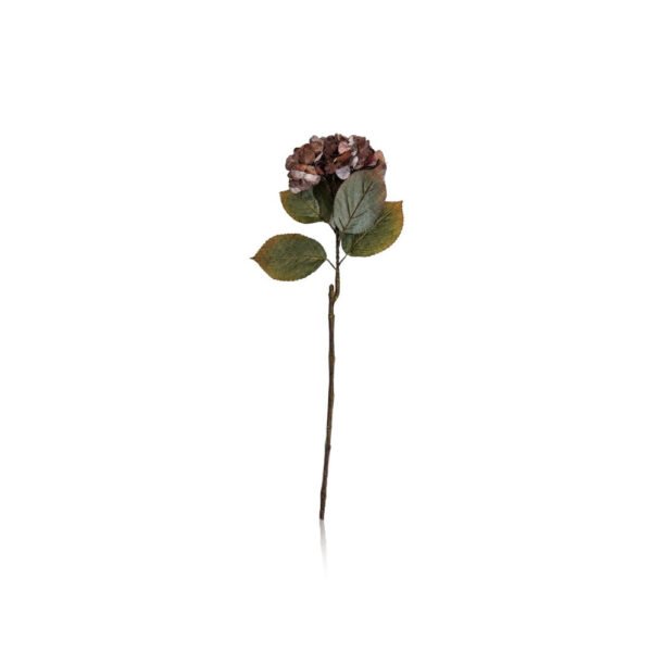 Fleur [Hortensia]