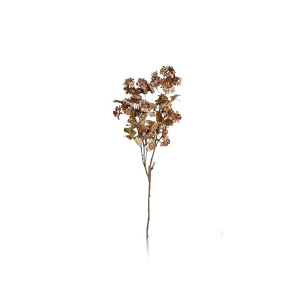 Fleurs [Hortensia]