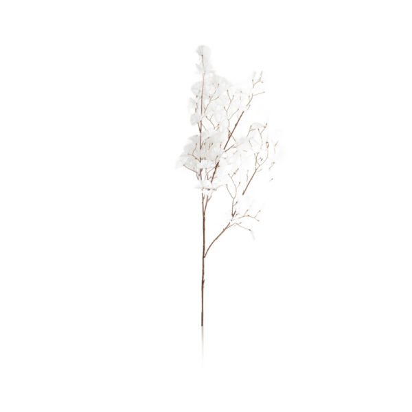Fleurs [cerisier] blanc